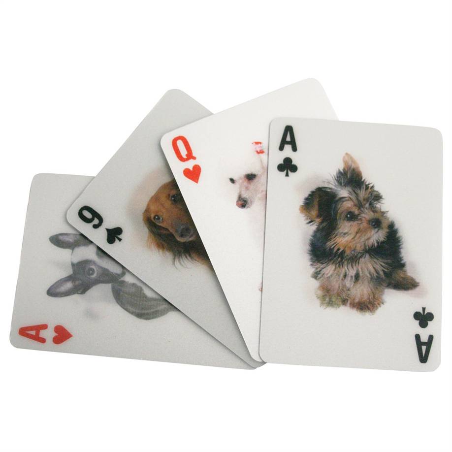 3D Dogs Playing Cards